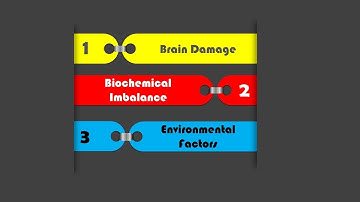 Genetic and Environmental factors in Learning Disabilities