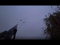 Охота на утку в тумане. Правдивое видео.