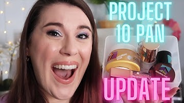 PROJECT 10 PAN UPDATE | Project Use It Up 2021 Q1