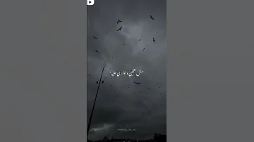 القي روحي بتنده ليه 