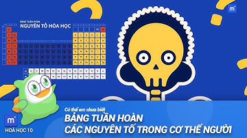 Cơ thể chúng ta dưới góc nhìn hoá học | Hóa học 10  Bảng tuần hoàn các nguyên tố trong cơ thể người
