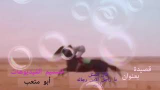 قصيده عن الصحب بعنوان @ قال المثل ما راجل إلا من رجاله راقية