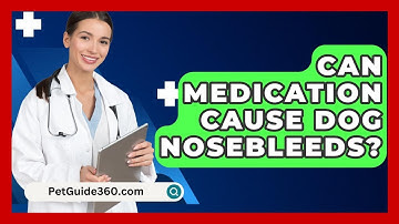 Can Medication Cause Dog Nosebleeds? - PetGuide360.com