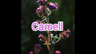 Antik Band - Memutar Waktu