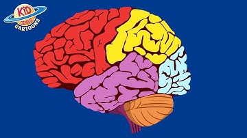 Welcome To My Brain Music Video | Learn Science by Thomas Edison