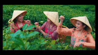 Video de china 2 