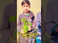 Parts of Plants | kids explaining | Easy and Conceptual #short #thenog