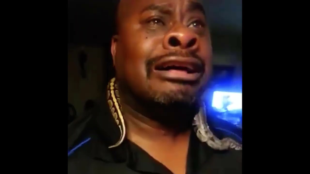 Shu Todoroki, Rip Clutchgoneski, Long Ce, Memo Rojas Jr., Vitaly Petrov And Flash Nillson (Cars 2)