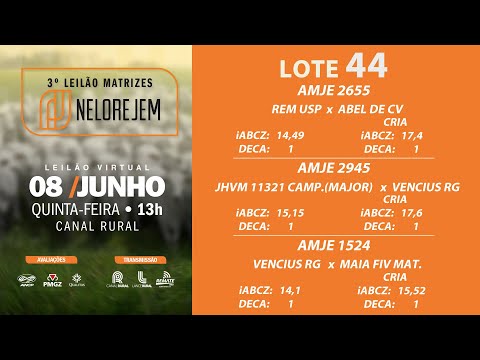 LOTE 44