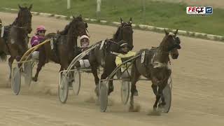 Vidéo de la course PMU PREMI INDIEN DE CHENU