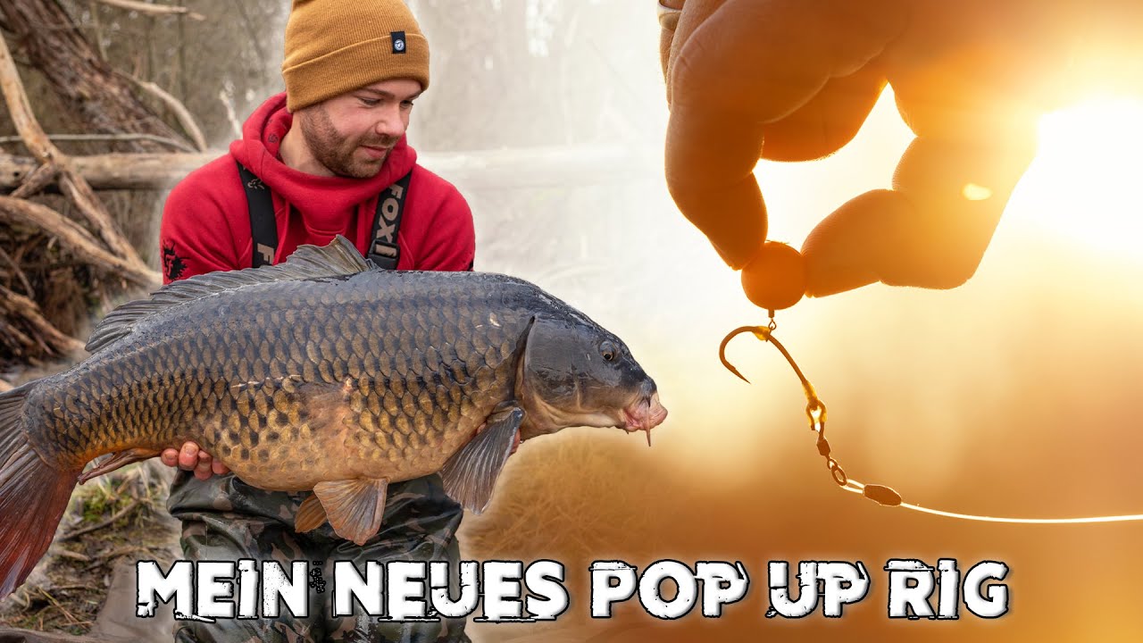 Das SPINNER RIG 🐋 | Das BESTE Pop Up Rig zum Karpfenangeln?