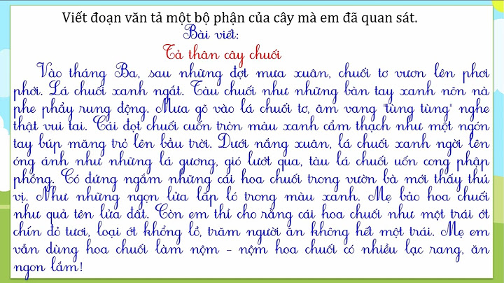 Bài văn tả về cây chuối lớp 4 năm 2024