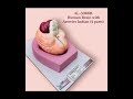 Anatomical Models by AVAIN LABS INTERNATIONAL  #AvainLabsInternational #AnatomicalModels #anatomy