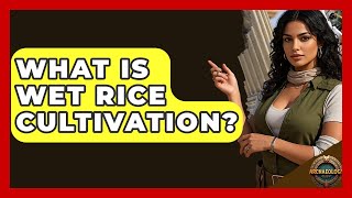 What Is Wet Rice Cultivation? - Archaeology Quest