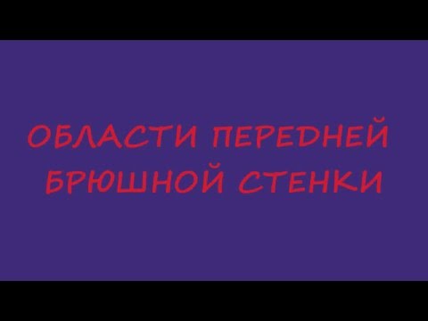 Области передней брюшной стенки