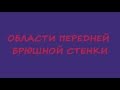 Области передней брюшной стенки