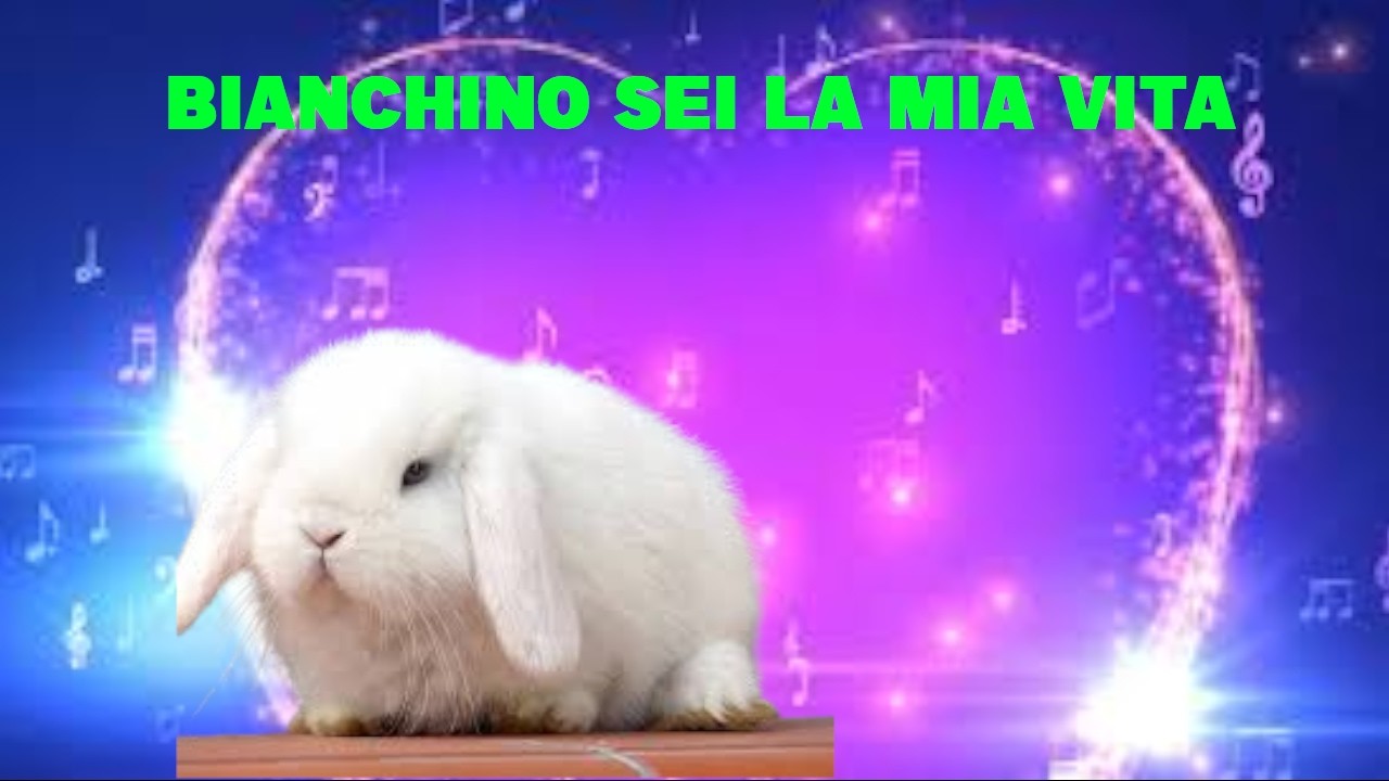 tanti auguri a Bianchino per i tuoi 4 anni 2 2 2026