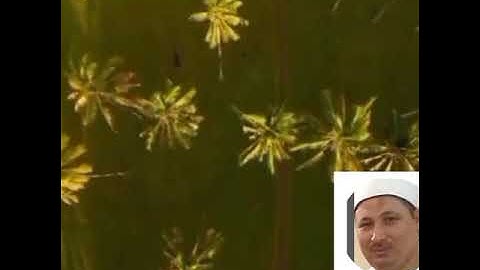 ربع إن الصفا والمروة بصوت  الشيخ عبدالله حجازي القارئ والامام بالجامع الأزهر