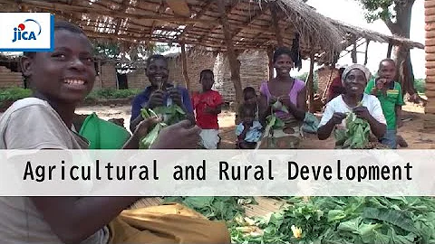 【Agricultural and Rural Development】The SHEP Approach Training Digest（Full ver.） - DayDayNews