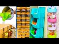 Amazon Best Must haves Kitchen & Home Items on Huge Sale/Racks/Wall Shelves/Organisers/Decor Items