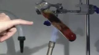 Halogen reactions with Iron wool