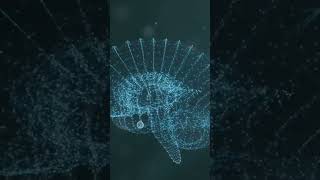 AI Learns From Data: Understanding Key Data Structures 👨💻 #shorts #coding #dev