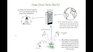 How Does Terra Work (Animation)