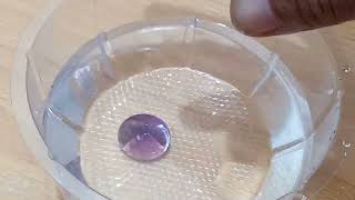 Bodi Montok Dan Semok Batu Bungur Tanjung Bintang Celin Dim 20X19X14