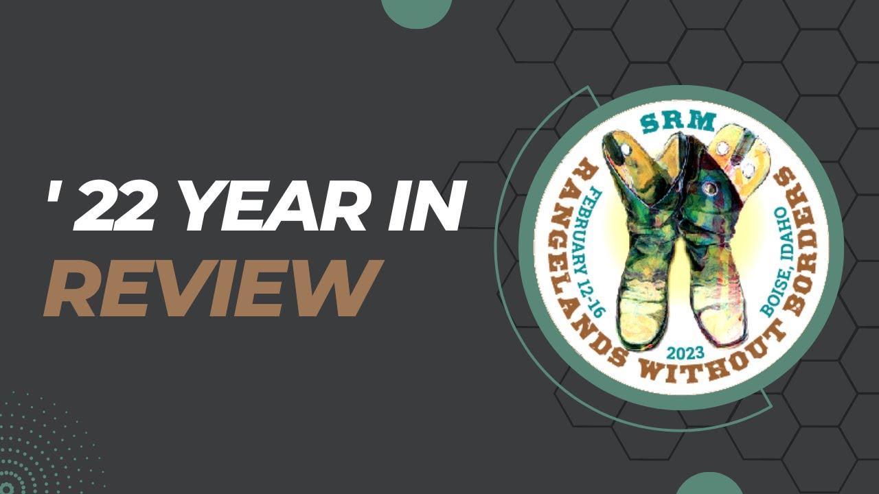 2022 Year in Review - YouTube