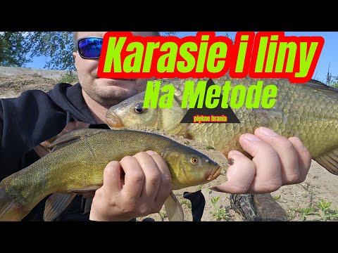 ZŁOTE Karasie i Liny ze Starogrodu (nagrane brania)