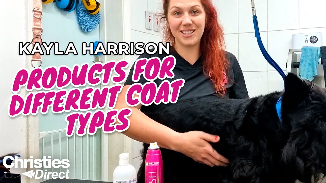 Kayla Harrison | The Best Dog Grooming Products for Different Coat Types