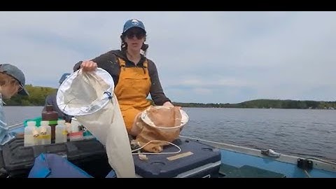 Zooplankton Sampling Demonstration