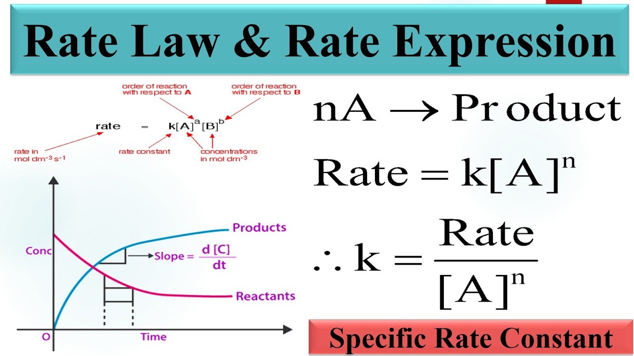 Rate law & Rate Expression
