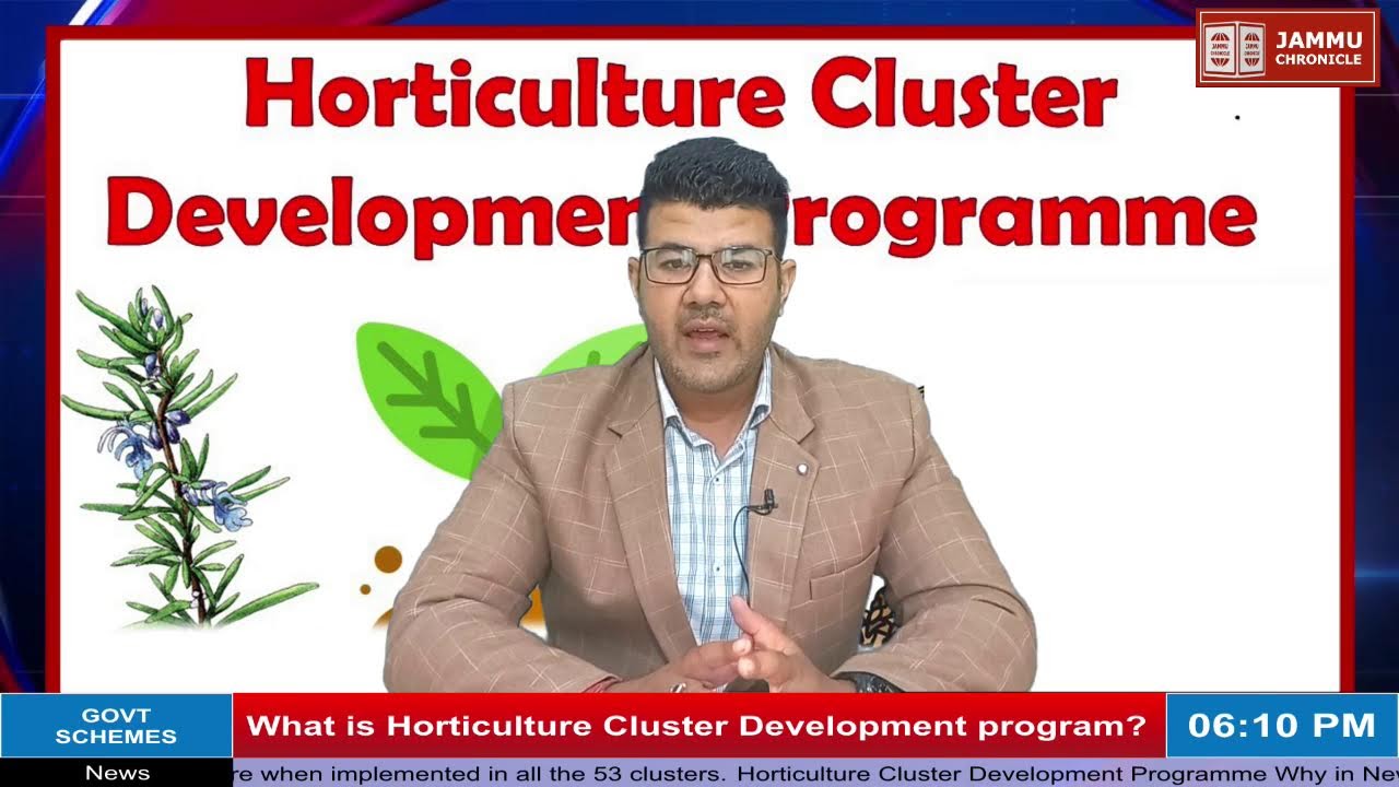 What is Horticulture Cluster Development program?