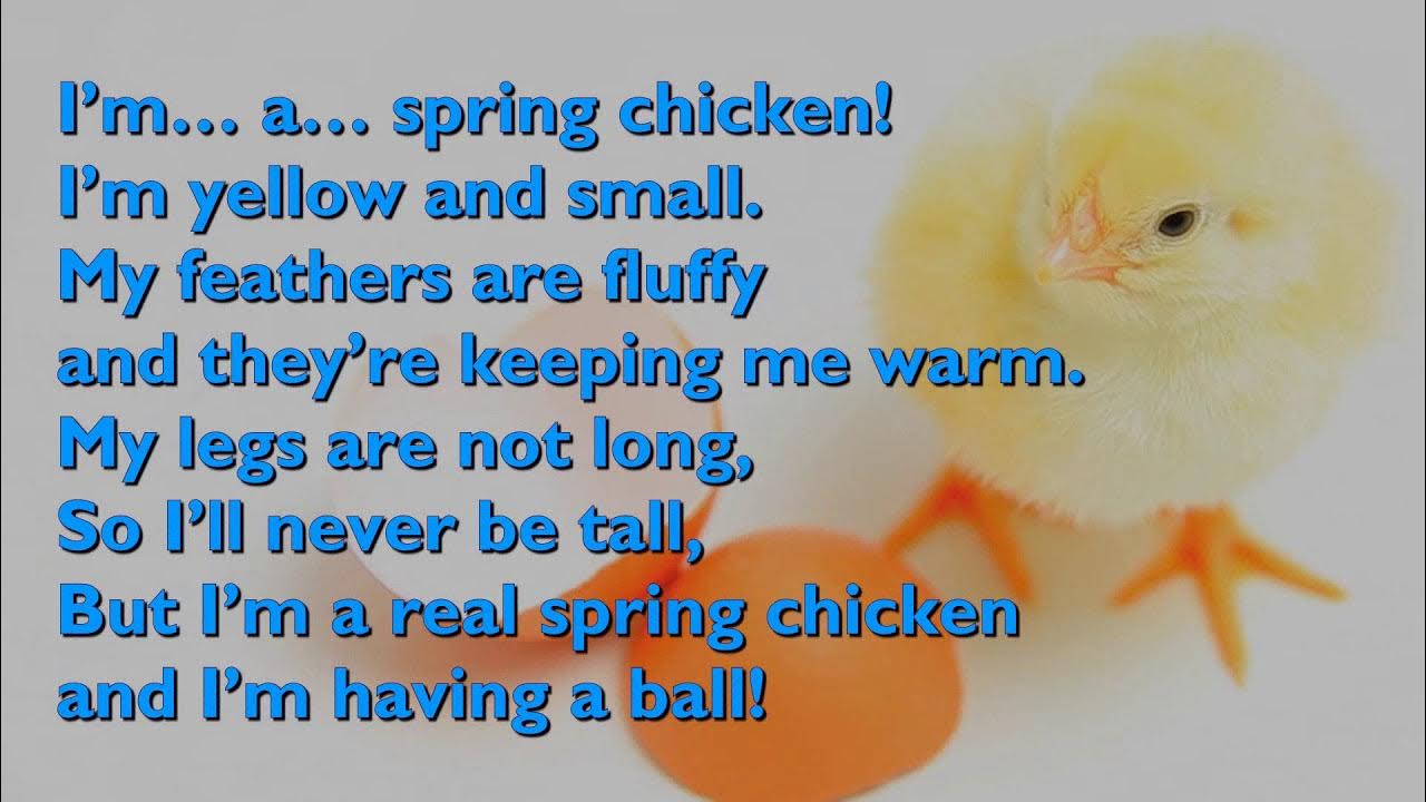 Spring Chicken Song (One Mother Hen) [with lyrics for congregations