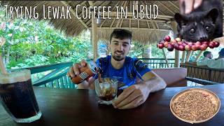 IS LEWAK COFFEE WORTH IT OUR EXPERIENCE IN UBUD, INDONESIA | Backpacking SEA