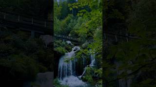 شلالات تريبيرغ في ألمانيا?شلالات طبيعة سياحة waterfall germany