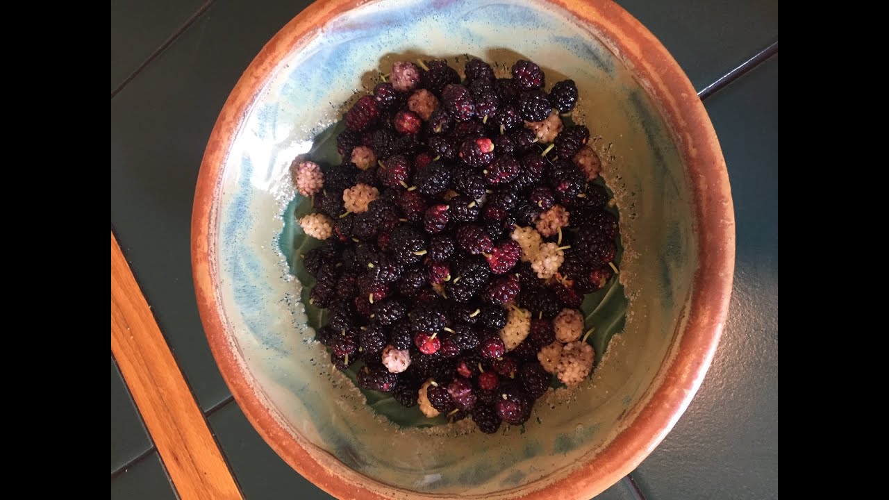 The Baltimore Orchard Project at Bliss Meadows -Earth Day 2021