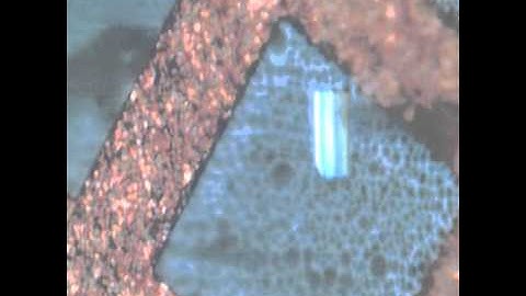 ex-situ FIB TEM section lift out at NanoScope.mp4