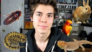 All 17 Pets I've Had in My Lifetime