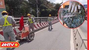 Người Dân TP.HCM Lo Lắng Khi "Đinh Tặc" Lộng Hành Trở Lại | Tin Tức 24h | ANTV