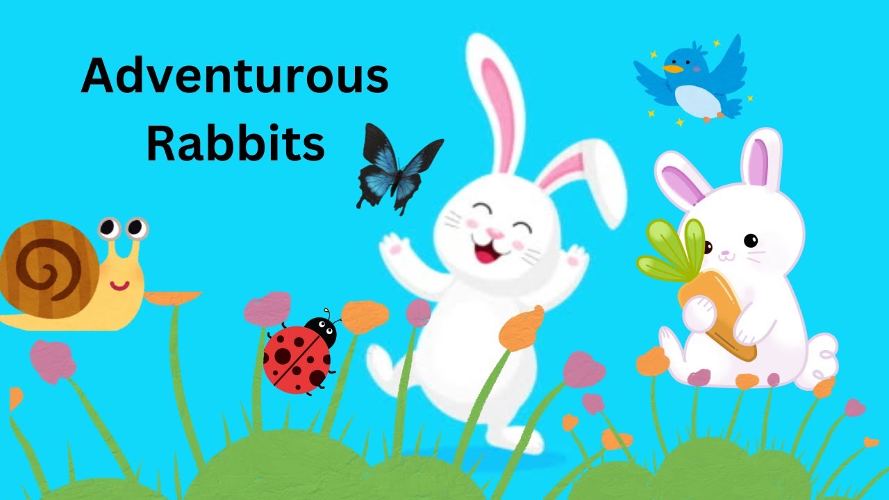 Rabbit's conversation - YouTube
