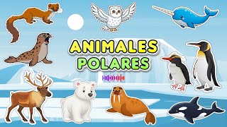ANIMALES POLARES 🐻‍❄️❄️| Sonidos de animales del Ártico y la Antártida | Animales Polares para Niños