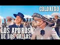 Los apuros de dos gallos | COLOREADO | Película del viejo oeste en español