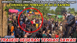 Viral Terbaru❗Geger Tengah Sawah Bantengan Jaranan Sriwijoyo Mudo Original Live Klurahan Ngronggot