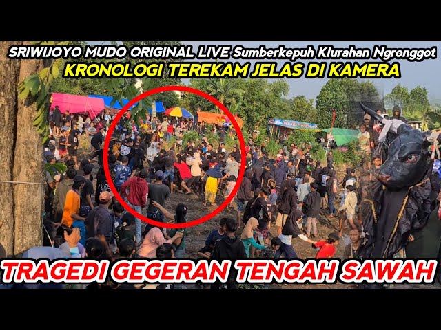 Viral Terbaru❗Geger Tengah Sawah Bantengan Jaranan Sriwijoyo Mudo Original Live Klurahan Ngronggot class=