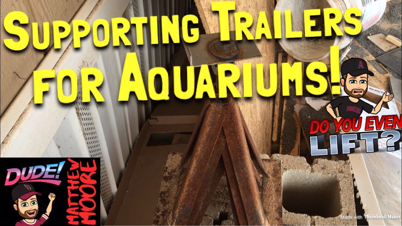 support groups near me Supporting trailers for aquariums?