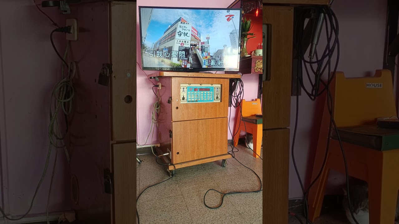 2026年2月19日@舞女，原唱陳小雲