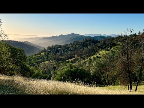 Henry Coe State Park - 2 Night Spring Solo Backpacking