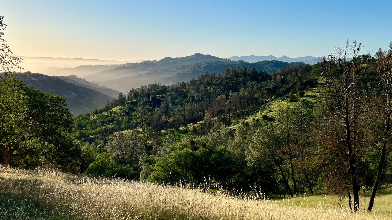 Henry Coe State Park - 2 Night Spring Solo Backpacking